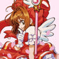 KUJI TICKET: "CARDCAPTOR SAKURA SPARKLING JEWELS 02/2025" - Rosey’s Kawaii Shop