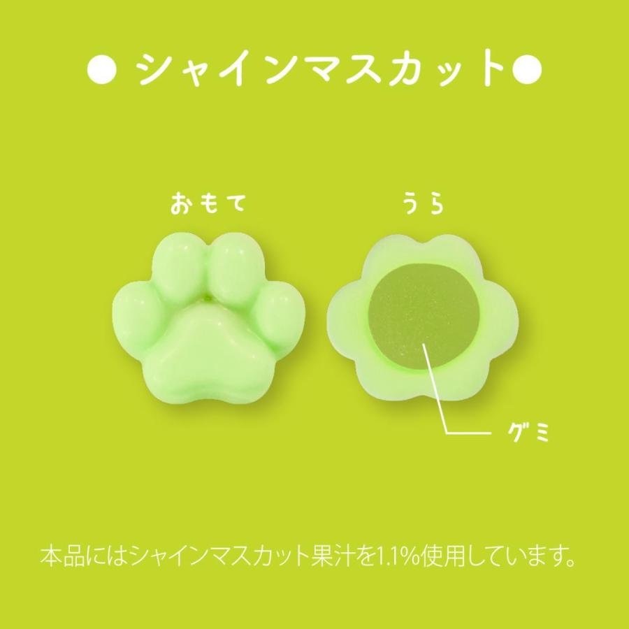 "Mofusand Fruit Assorted" Gummy Chocolate & Tin Case - Rosey’s Kawaii Shop