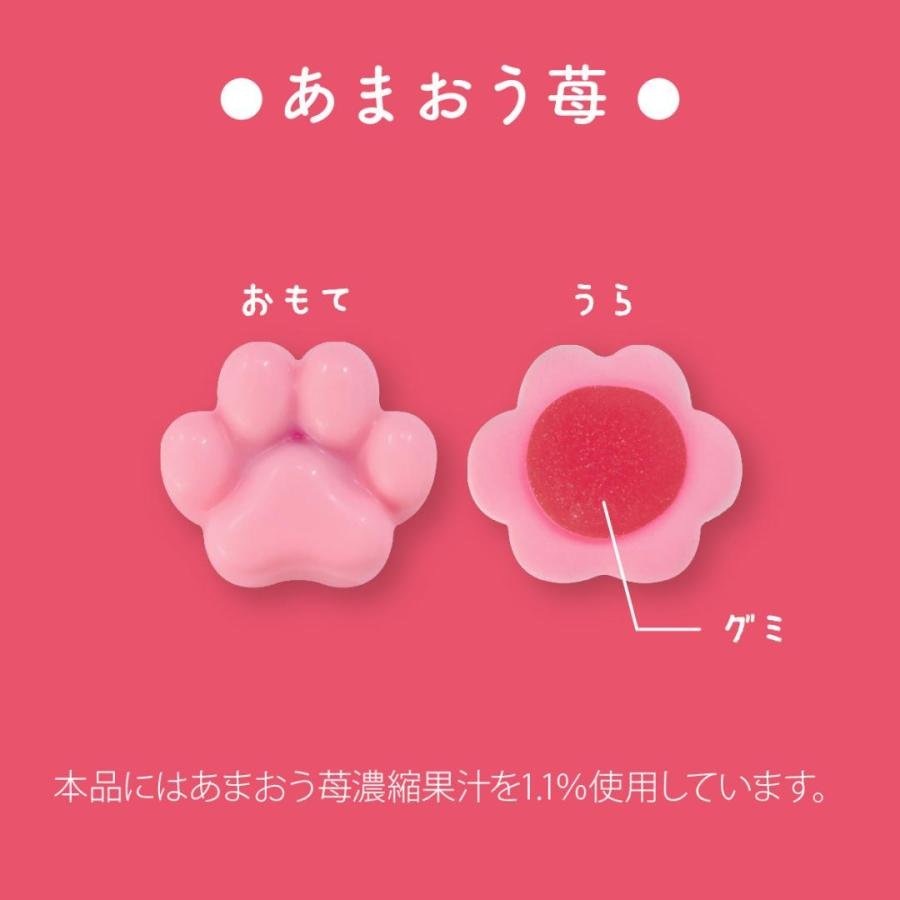 "Mofusand Fruit Assorted" Gummy Chocolate & Tin Case - Rosey’s Kawaii Shop