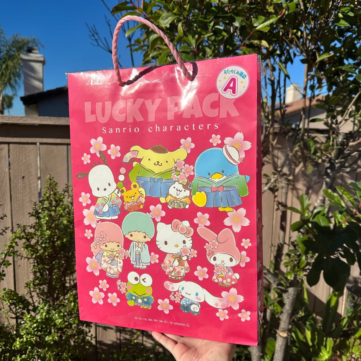 Japan "Sanrio" Lucky Bag - Rosey’s Kawaii Shop